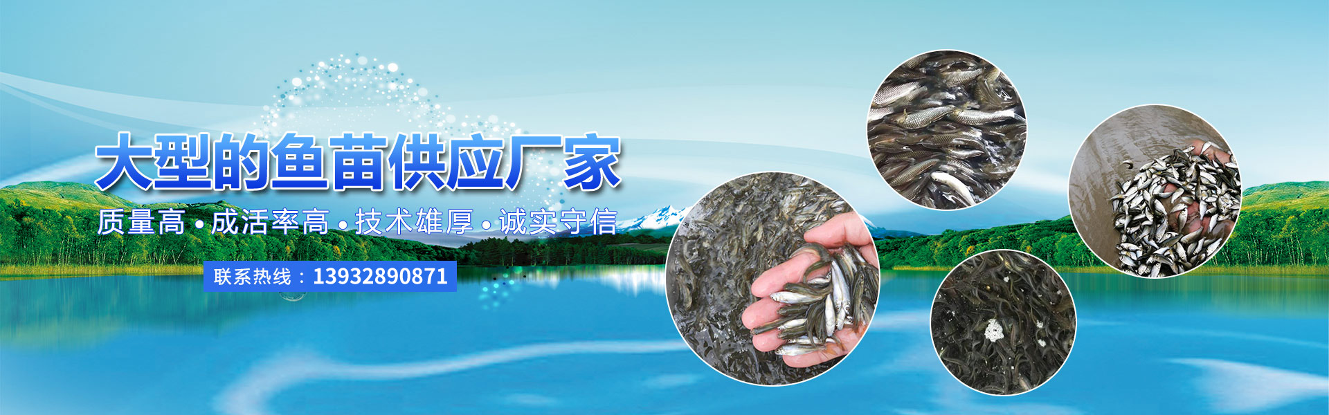 (lin)ϵ҂-A{ʘ(l)˾·ֿͷԒ(hu)19989979996(A{ʘ(l))